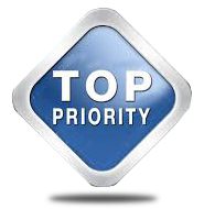 bipartisan policy center on primaries